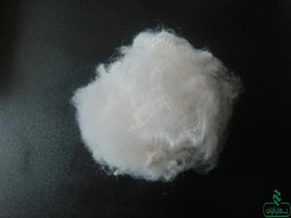 مرکز پخش لایی عروسک